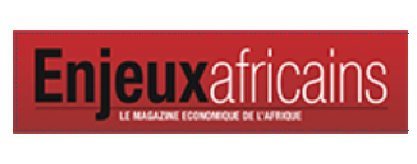 logo enjeux africains